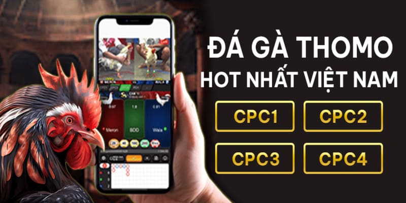 Thưởng thức trận gà mãn nhãn thưởng khủng